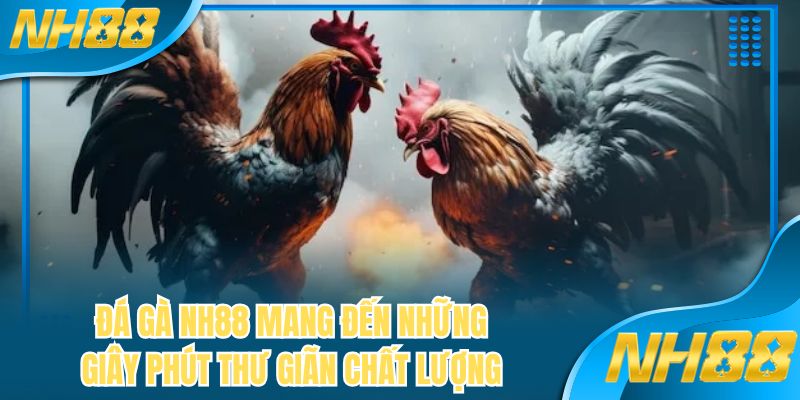 Đá gà NH88 mang đến những giây phút thư giãn chất lượng