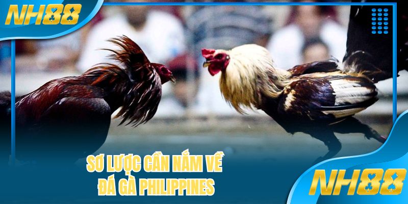 Sơ lược cần nắm về đá gà Philippines